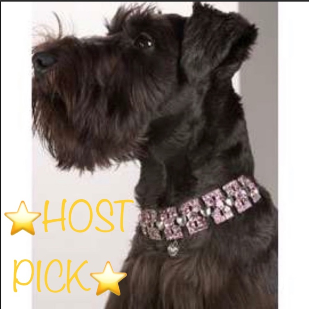 NEW JUICY COUTURE DOG COLLAR DIAMOND NECKLACE RHINESTONE BLING PAVE SWAROVSKI - Picture 5 of 16
